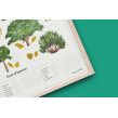 Poster Trees of interest
